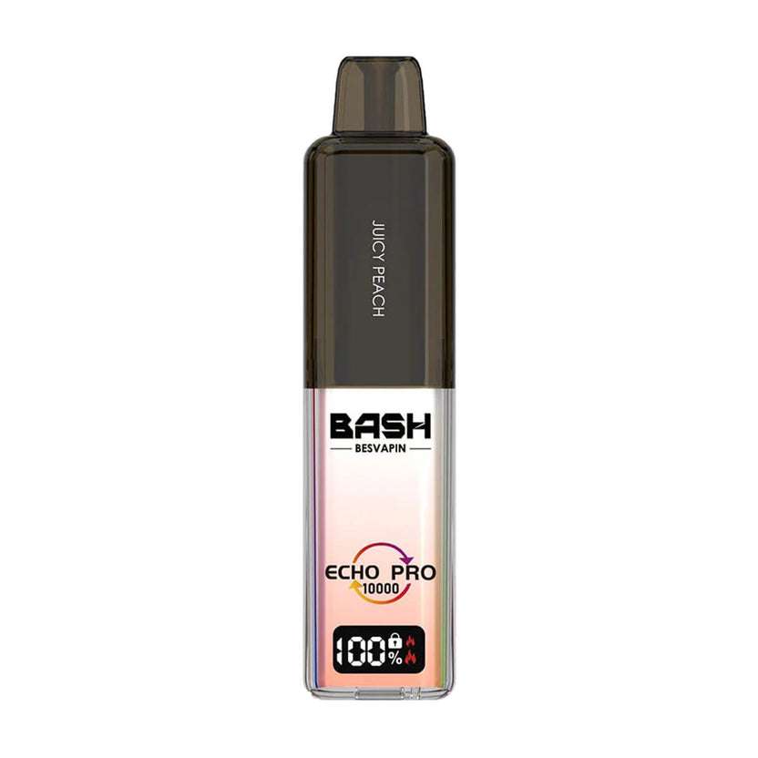 Bash Vape Echo Pro 10K Prefilled Pod Kit - Image 3